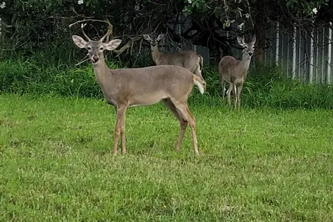 Bayview RV Park