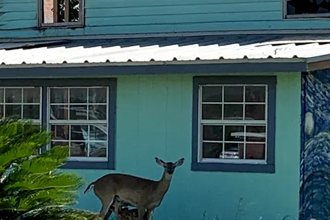 Bayview RV Park