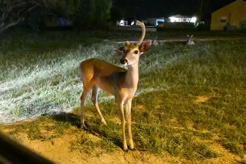 Bayview RV Park