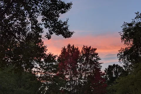 Lakewood RV Resort