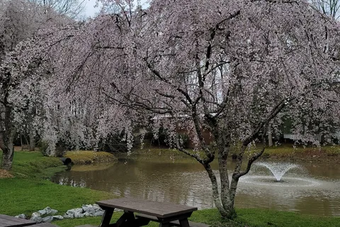 Lakewood RV Resort