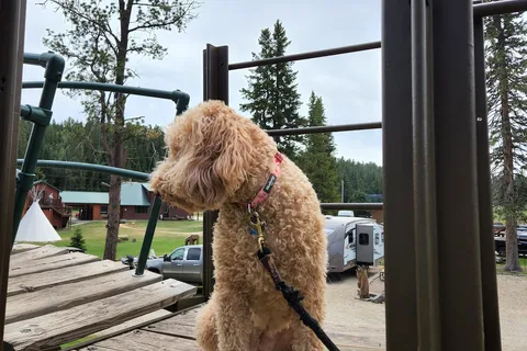 Hidden Valley Campground