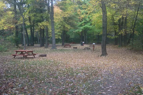 Pine Harbor Campsite