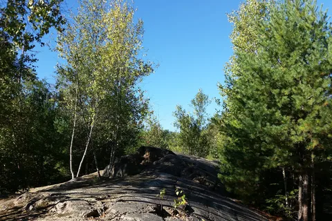 Twin Tamarack Family Camping and RV Resort