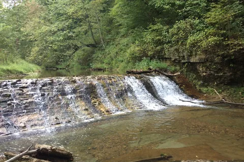 Hardens Camp Tennessee Indiana
