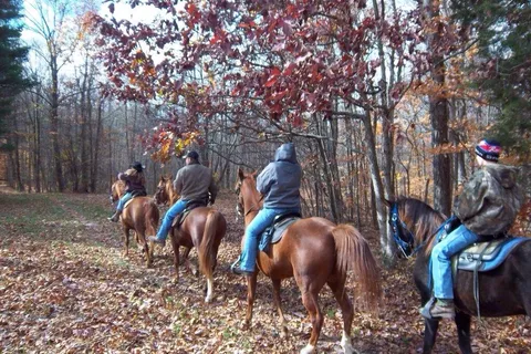 Hardens Camp Tennessee Indiana