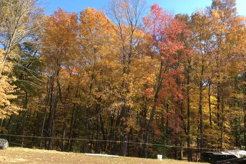 Hardens Camp Tennessee Indiana