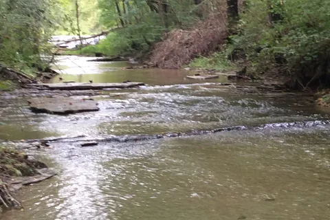Hardens Camp Tennessee Indiana