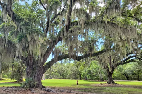 Fontainebleau State Park