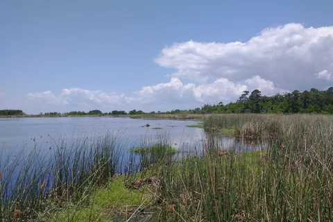 Fontainebleau State Park