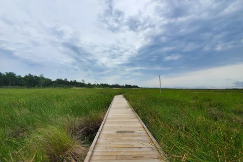 Fontainebleau State Park
