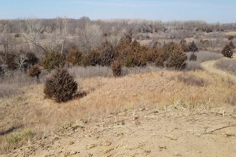 Sand Hills State Park