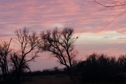 Sand Hills State Park