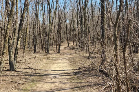 Sand Hills State Park