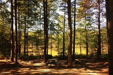 Big Moose Inn Cabins and Campground