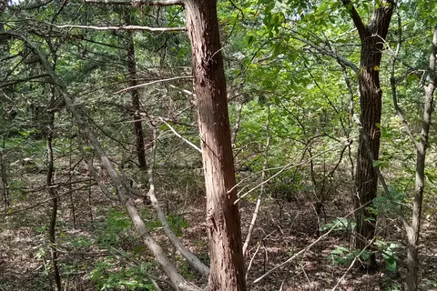 Rock Tower - Lake Murray State Park