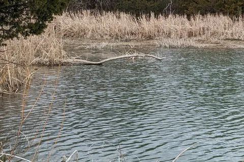 Rock Tower - Lake Murray State Park