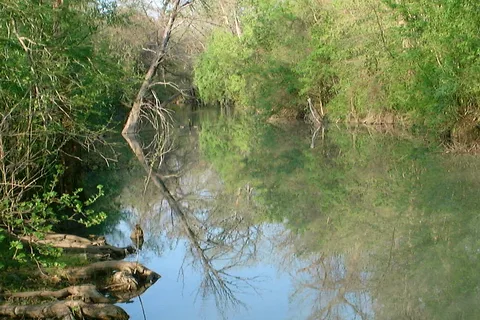 Alamo River RV Resort and Campground