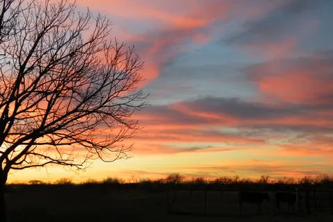 Alamo River RV Resort and Campground