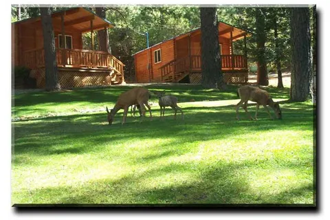 Harmony Ridge Resort