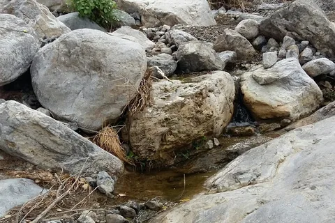Oliver Lee Memorial State Park