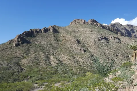 Oliver Lee Memorial State Park