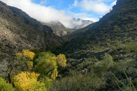 Oliver Lee Memorial State Park
