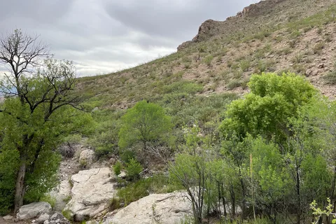 Oliver Lee Memorial State Park