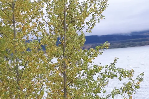 Pierre's Point Campground