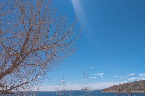 Tamarask - Boysen State Park