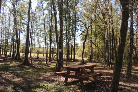 Holmes Creek Camping & RV Resort