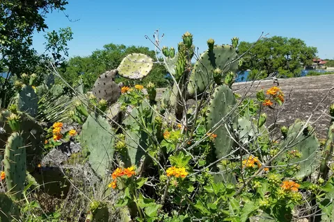 Sunset Point On Lake Lbj RV Park