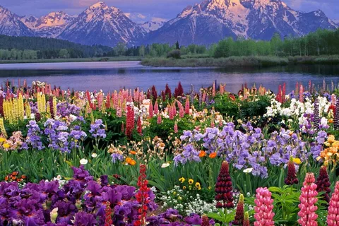 Parc national de Grand Teton