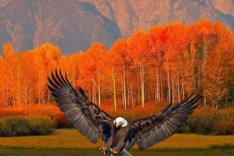 Parc national de Grand Teton