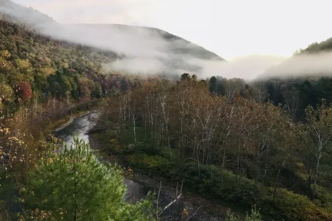 Pettecote Junction Campground