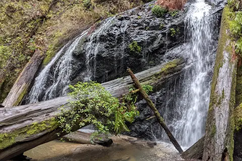 Russian Gulch State Park