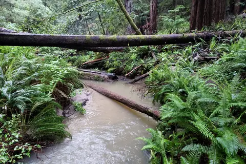 Russian Gulch State Park