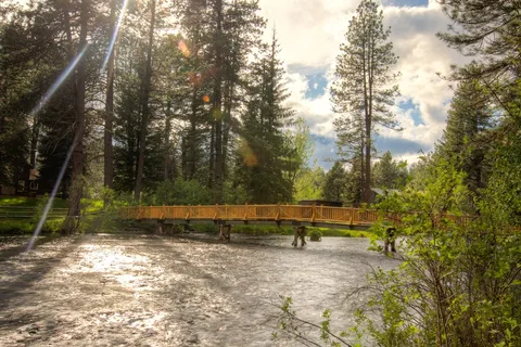 Cold Springs Resort and RV Park