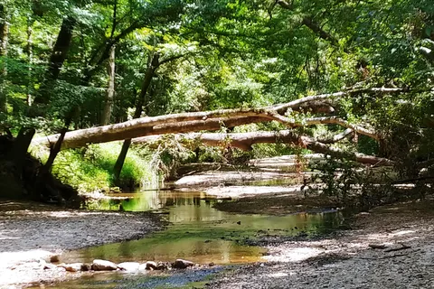 Rocky Springs Campground - Natchez Trace Parkway