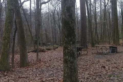 Rocky Springs Campground - Natchez Trace Parkway