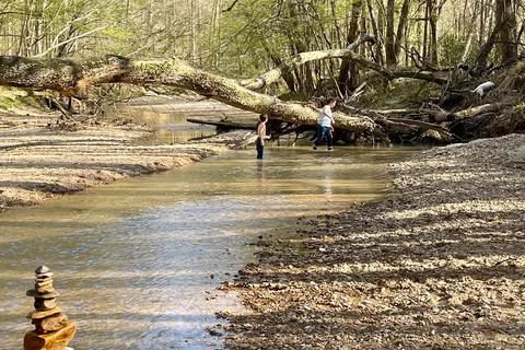 Rocky Springs Campground - Natchez Trace Parkway