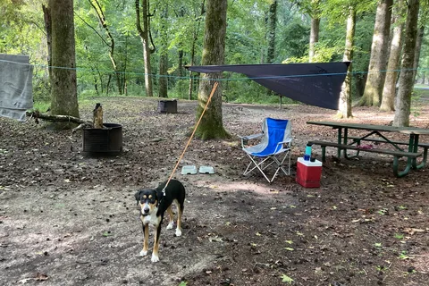 Rocky Springs Campground - Natchez Trace Parkway