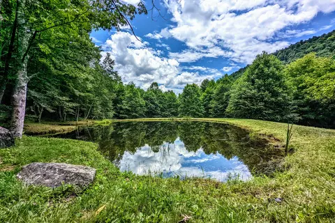 Blue Bear Mountain Camp