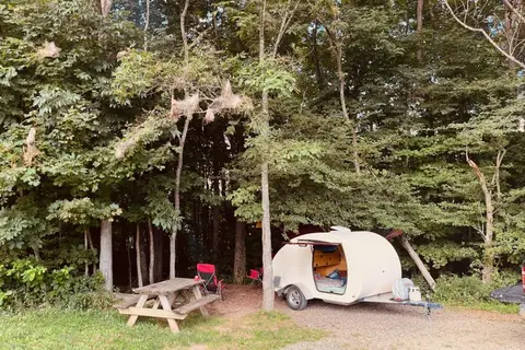 Blue Bear Mountain Camp