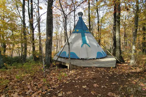 Blue Bear Mountain Camp