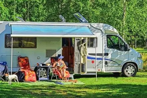 Blue Bear Mountain Camp
