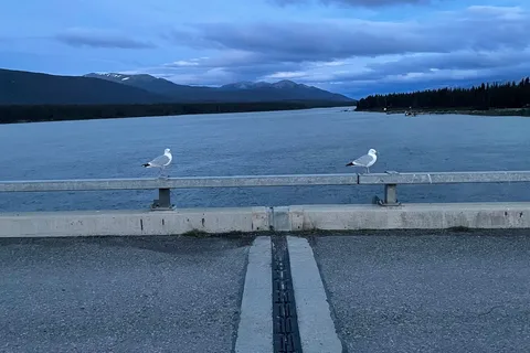 Tagish Lake Campground