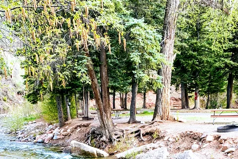 Elk Creek Campground
