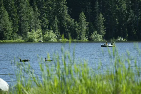 Snowflower RV Resort