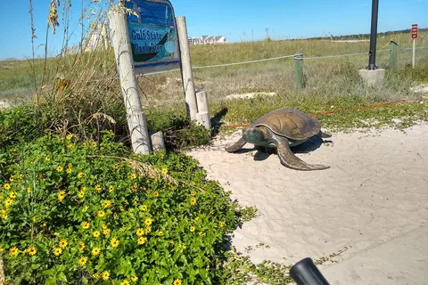 Gulf State Park